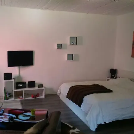 Apartment Messe Und *